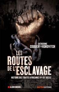 Les routes de l'esclavage  - Histoires des traites africaines VIe-XXe siècle (Dos carré collé)