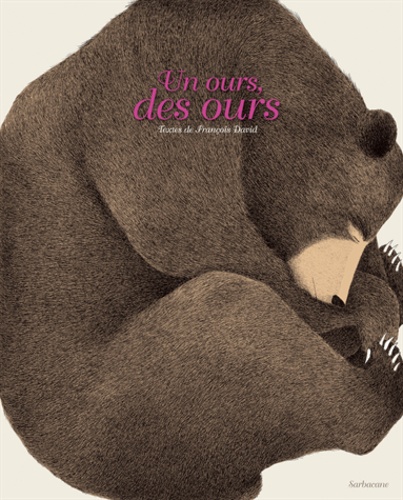 François David - Un ours, des ours.